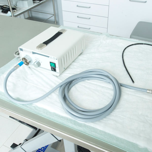 Endoscope